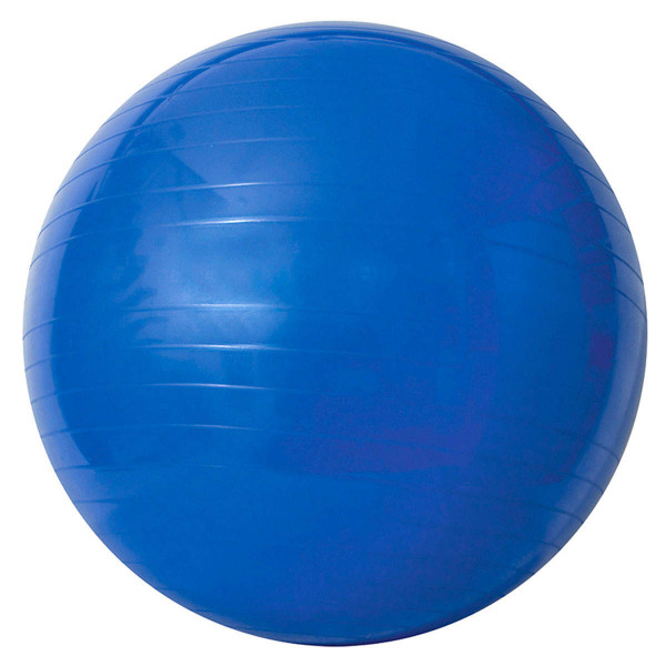 Bola Gina Acte Sports com bomba de ar 65 cm Bola Gina Acte Sports com bomba de ar 65 cm